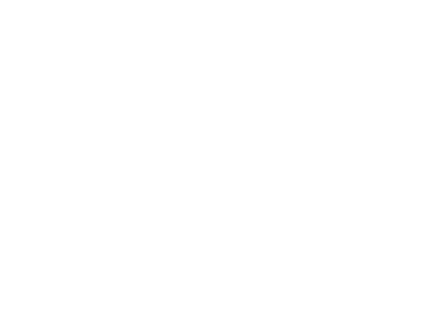 Anywhere Viaggi